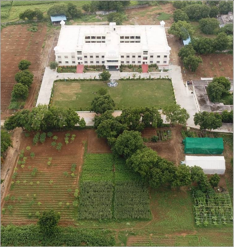 College Campus
